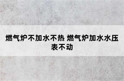 燃气炉不加水不热 燃气炉加水水压表不动